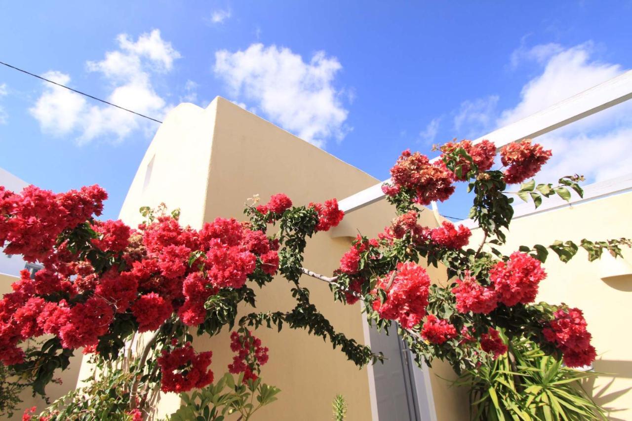 Ersi Villas Fira  Bagian luar foto